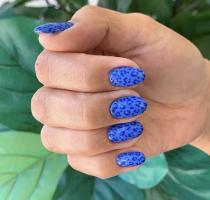 Royal Blue Leopard Print