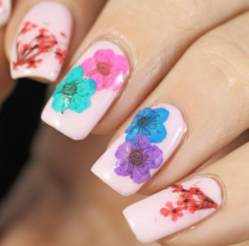 Dried Floral Impressions