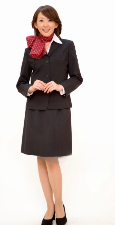 Structured A-Line Dress with Tailored Jacket Flight Attendant Dress