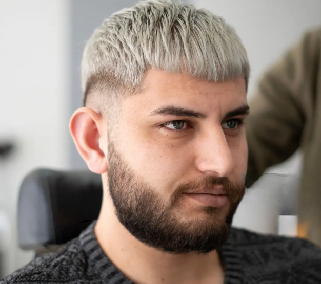 Regular Cut with Low Drop Fade