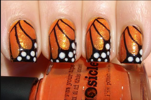 Orange Butterfly Wings