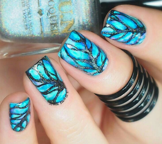 Butterfly Wing Details