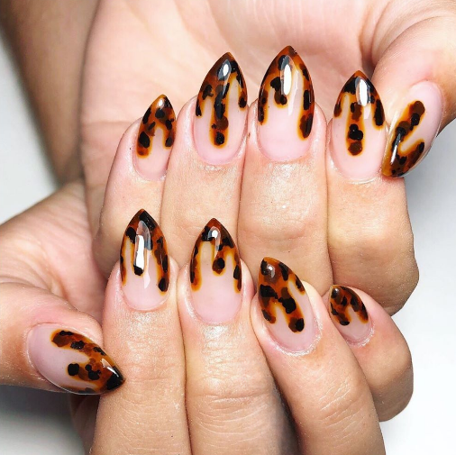 Tortoiseshell-Inspired Leopard Variation